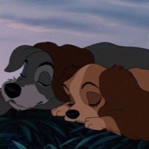 Meet your Posher, Clio